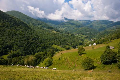 Bed & Breakfast L'�chapp�e Belle