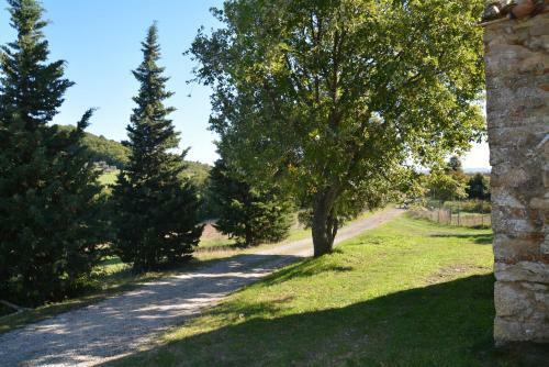 Agroturismo Agriturismo Villa Di Scopicci