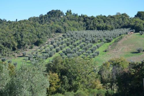 Agroturismo Agriturismo Villa Di Scopicci