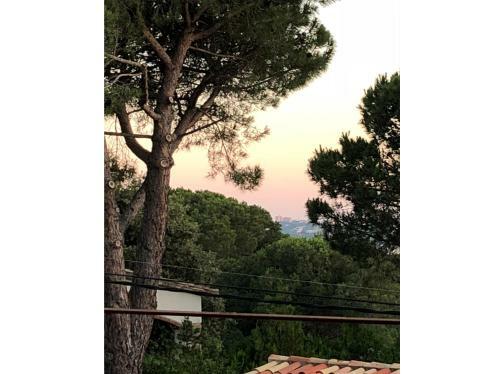 Villa 9 Carrer Llorer