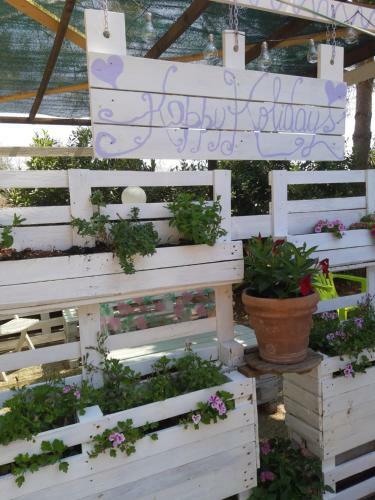 Appartamento In Casale
