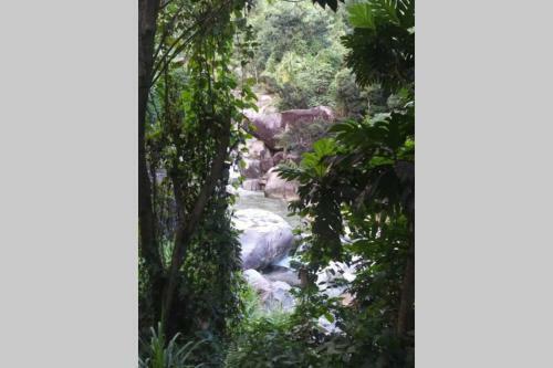Apartamento Terrace Studio In Naguabo Historic House