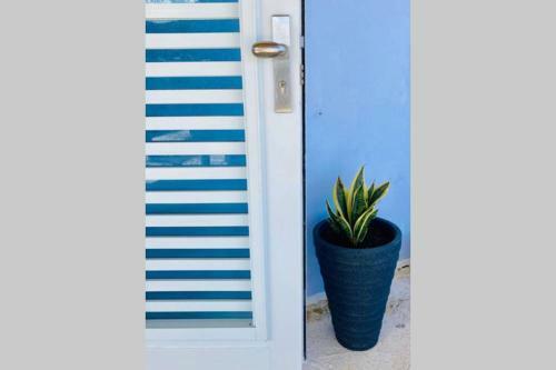 Apartamento Terrace Studio In Naguabo Historic House