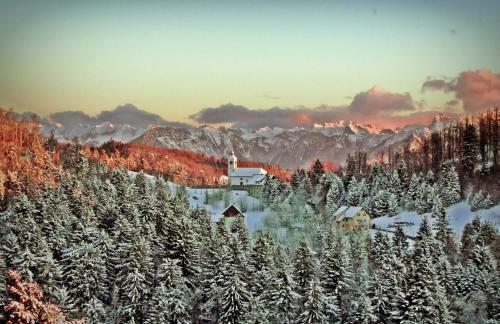 Apartma Alpski Vrt