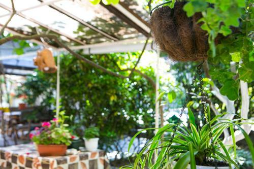 Hostal Guest House Lavr