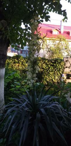 Casa Melissa