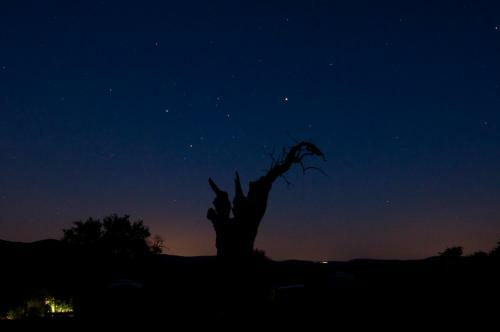 Cabane Aux �toiles