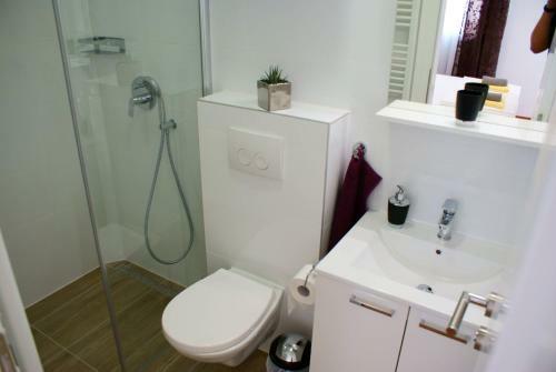 Luxury Apartment Luka