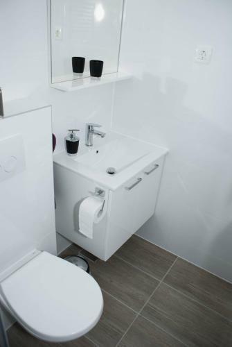 Luxury Apartment Luka