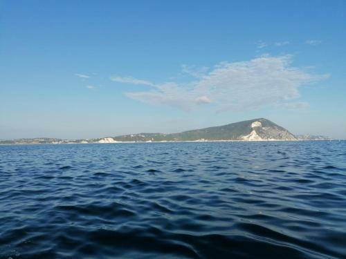 Agroturismo Il Piccolo Uliveto Del Conero