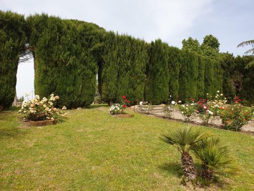 Apartamento Villa Bellaria