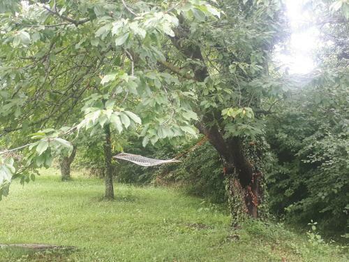 Apartamento Cesargradska Klet