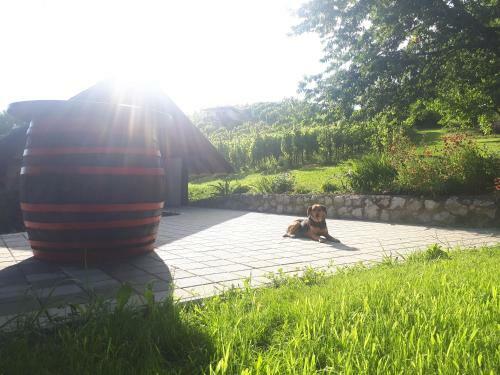 Apartamento Cesargradska Klet