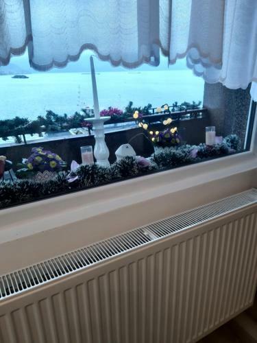 Apartament Eduard