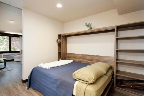 Tamarron Lodge Loft - 342