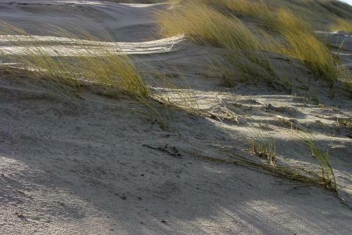 Strandbungalows Vrouwenpolder