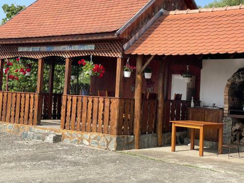 Hostal Pensiunea Ducu