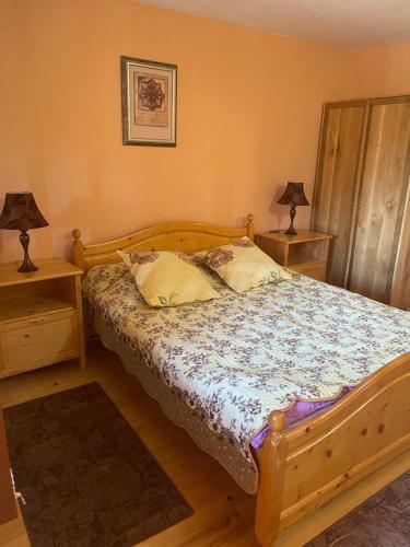 Hostal Pensiunea Ducu
