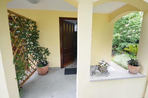 Apartment Elza