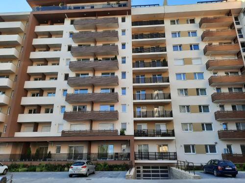 Sorin`s Comfortable Apartment