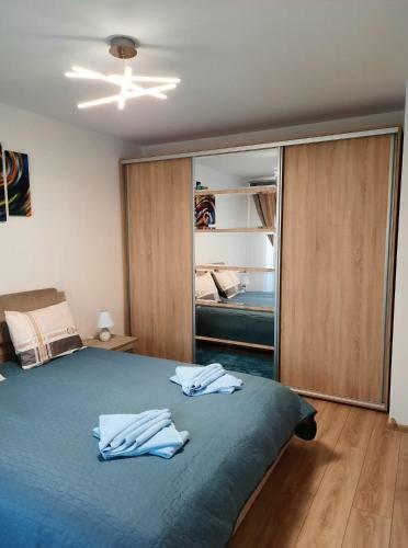 Sorin`s Comfortable Apartment