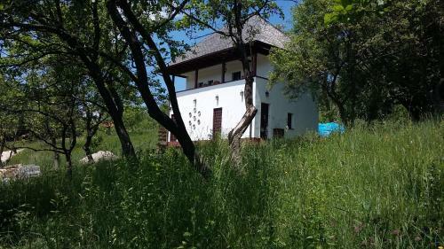 Hostal Cottage Poe