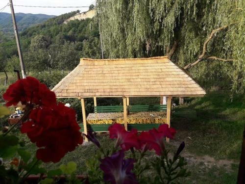 Hostal Cottage Poe