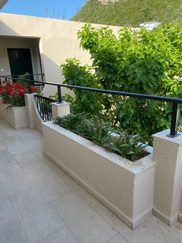 Hostal Libera Private Rooms