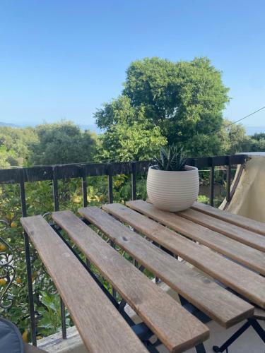 Hostal Libera Private Rooms