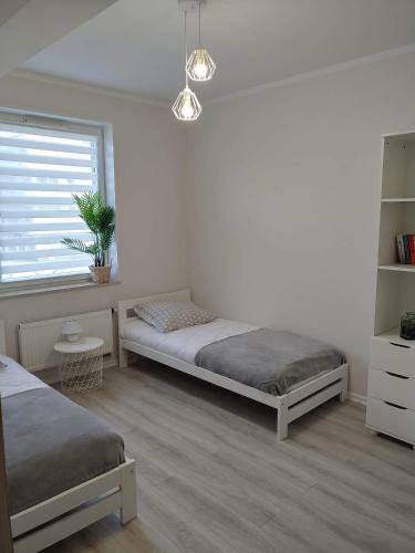 Apartament Piaskowa