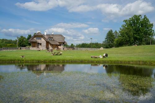 Bed & Breakfast Siedlisko Wigry