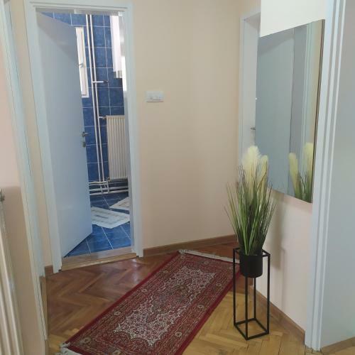 Apartment "jona "