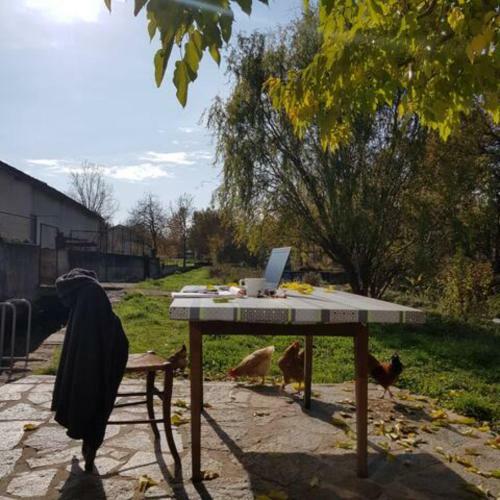 Hostal The Mill France