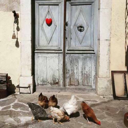 Hostal The Mill France