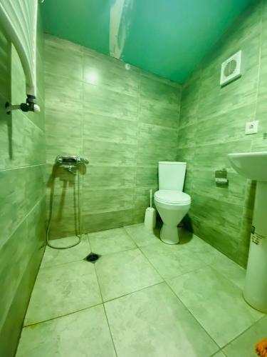 Apartamento ??????? ??????? ???????? "???????" Borjomi Guest House "giomani" ????????? ???????? "giomani"