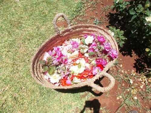 Hotel Ecolodge Espace Tamount