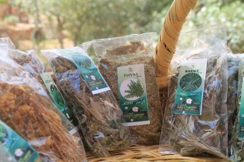 Hotel Ecolodge Espace Tamount