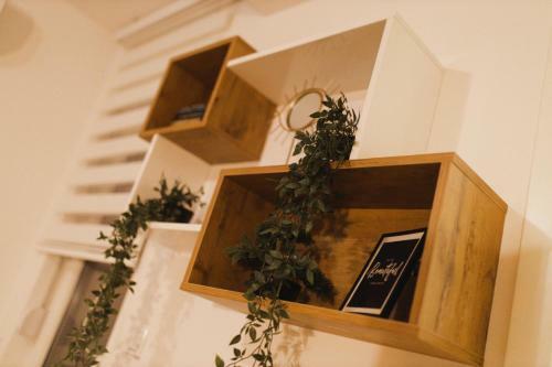 Afrika Apartment
