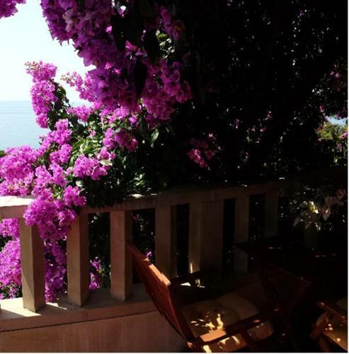 Apartment Luka Sodan -villa Bose