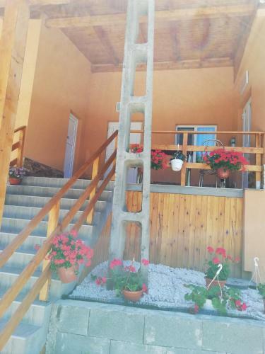 Hotel Fructele Padurii