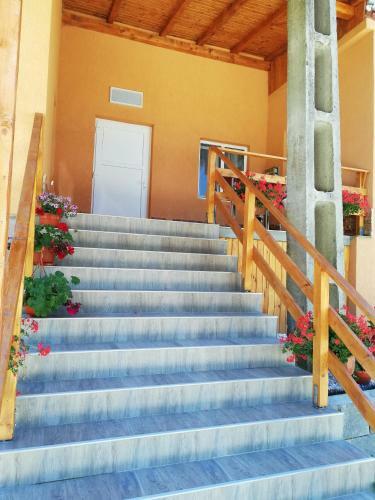 Hotel Fructele Padurii