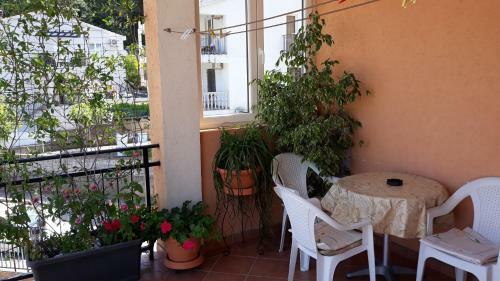 Hostal Guesthouse Djacic