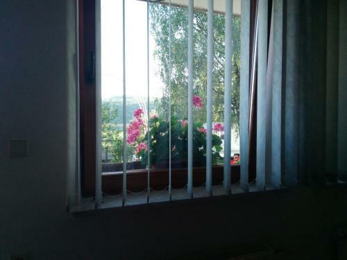 Dolenjska Vila
