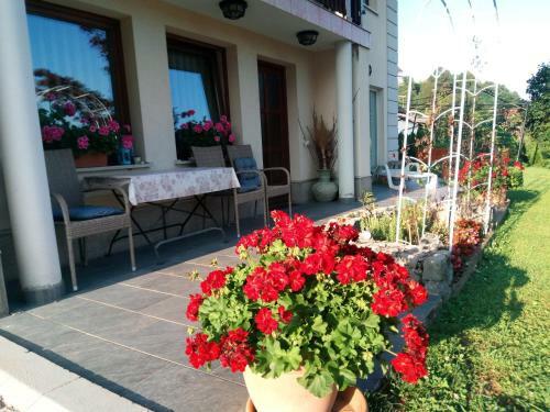 Dolenjska Vila