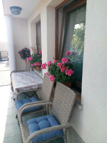 Dolenjska Vila