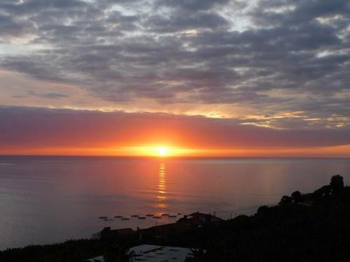 Hostal Bluegreen