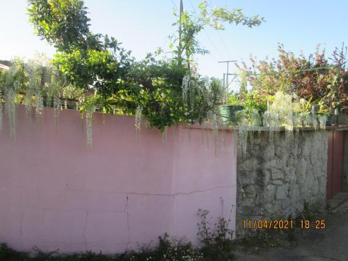 Hostal P�ssego - Al