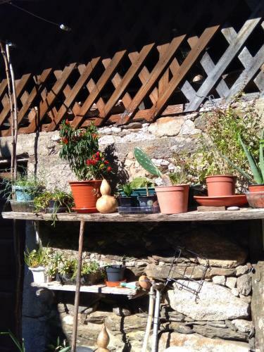 Hostal P�ssego - Al