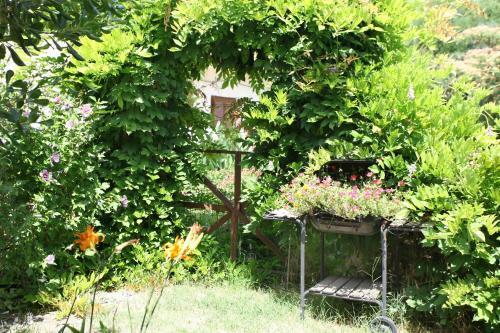 Apartamento Bozena Studio Kneb
