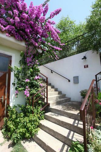 Apartamento Bozena Studio Kneb